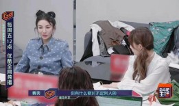 爆料王琳团队直播回放视频,精彩瞬间回顾